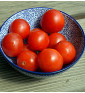 Red Robin | rajče balkonové keříčkové | PERMASEMÍNKA.CZ