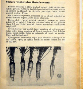 Višňovská mrkev - popis z knihy Zelenina - Československé původní odrůdy z roku 1948 | PERMASEMINKA.CZ