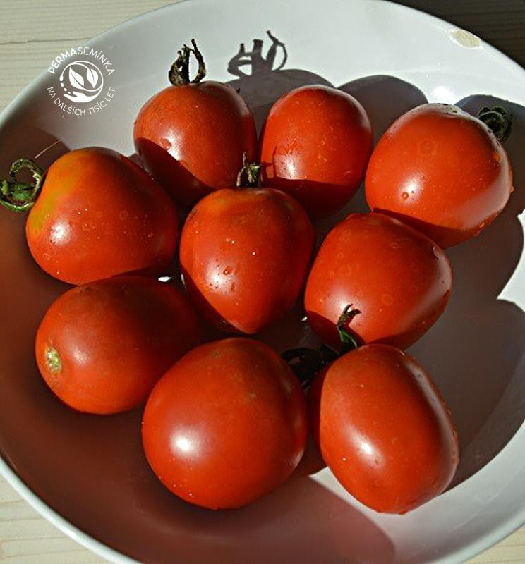 De Berao / Rajče tyčkové