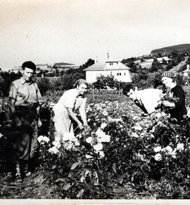 Zahradník pan Šťastný  (vlevo) a Vojtěch Káňa (vpravo), 50. léta 20. století