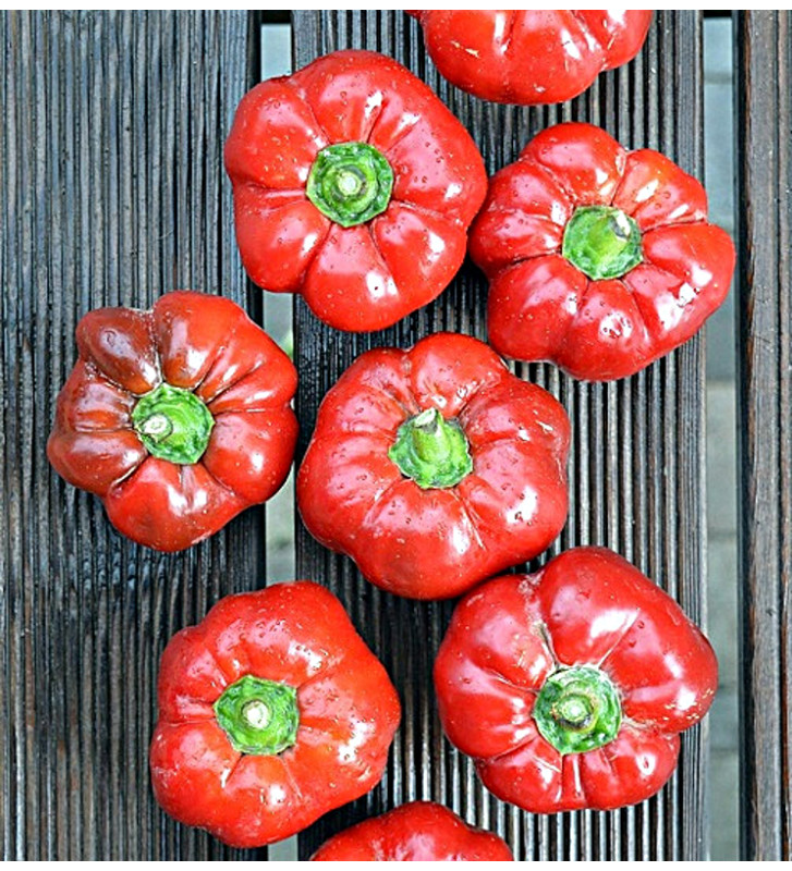 Liebesapfel - sladká paprika| PERMASEMÍNKA.CZ
