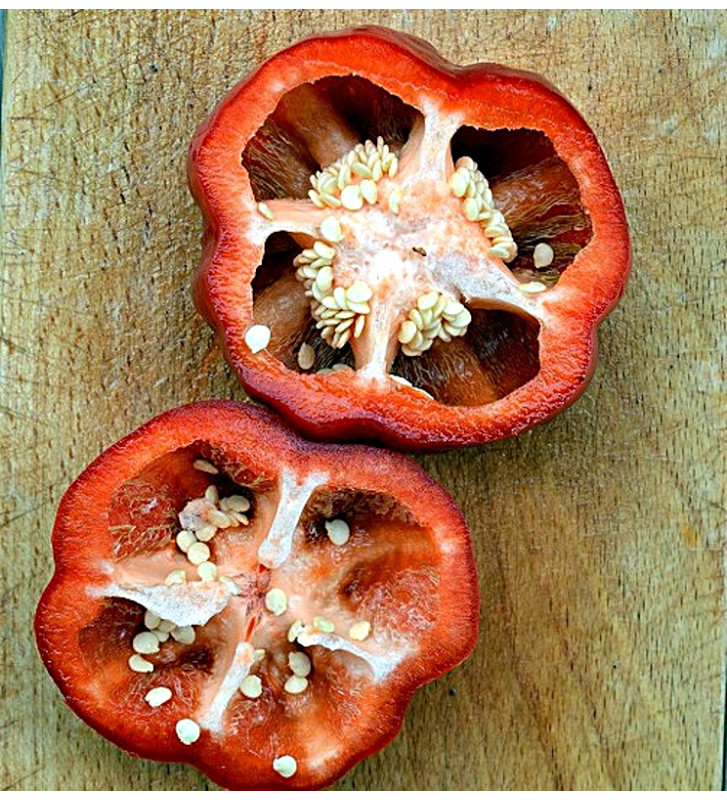 Liebesapfel - sladká paprika| PERMASEMÍNKA.CZ