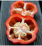 Liebesapfel - sladká paprika| PERMASEMÍNKA.CZ