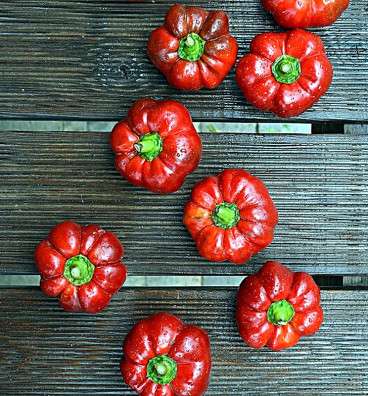 Liebesapfel | paprika sladká | semena