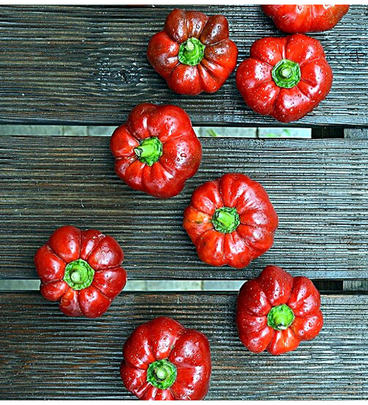 Liebesapfel - sladká paprika| PERMASEMÍNKA.CZ