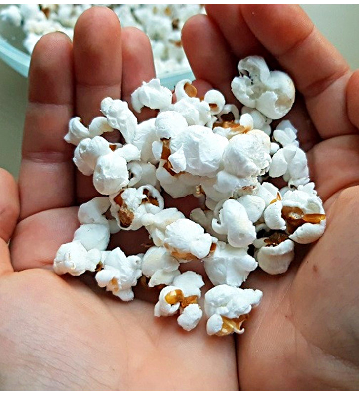 White Selection | Kukuřice popkornová | PERMASEMÍNKA.CZ