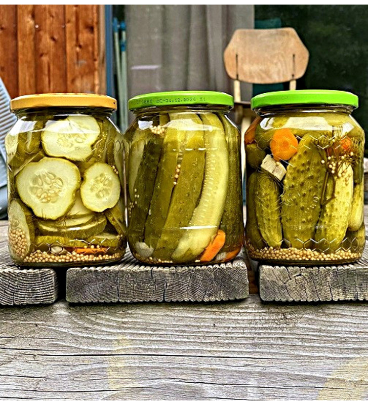 Naložené zavařené domácí okurky - odrůda Dekan | okurka nakládačka | PERMASEMÍNKA.CZ