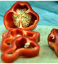 Lipstick - sladká paprika, ultra raná odrůda | PERMASEMÍNKA.CZ