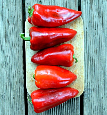 Lipstick | paprika sladká - velmi raná | semena