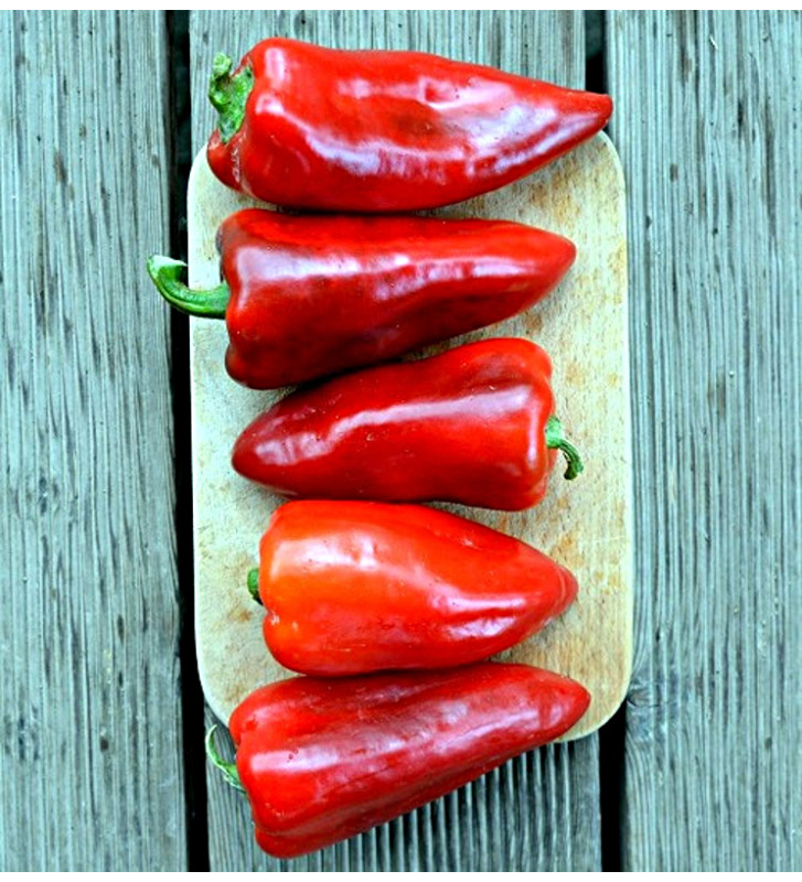 Lipstick - sladká paprika, ultra raná odrůda | PERMASEMÍNKA.CZ