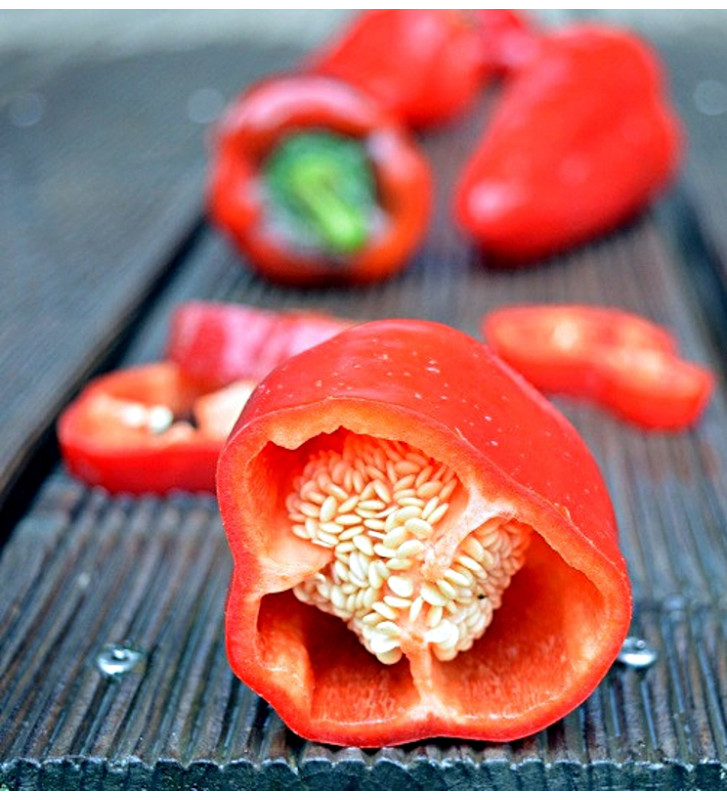 Lipstick - sladká paprika, ultra raná odrůda | PERMASEMÍNKA.CZ
