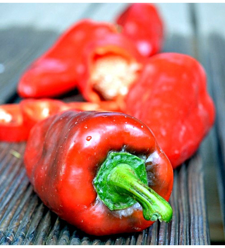 Lipstick - sladká paprika, ultra raná odrůda | PERMASEMÍNKA.CZ