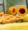 Banana| meloun cukrový | PERMASEMÍNKA.CZ