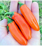 Leon| paprika pálivá, jalapeňo| PERMASEMÍNKA.CZ