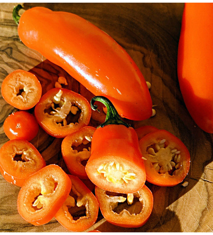 Leon| paprika pálivá, jalapeňo| PERMASEMÍNKA.CZ