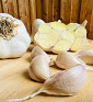 Rovenský I česnek kuchyňský I allium sativum I stará odrůda  I permasemínka