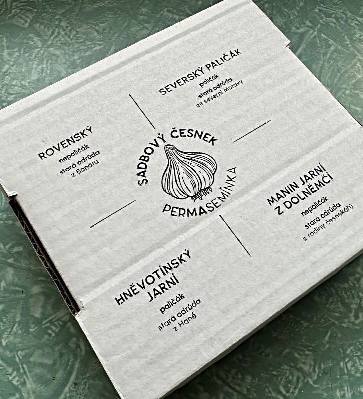 Kolekce starých odrůd I česnek kuchyňský I allium sativum I permasemínka