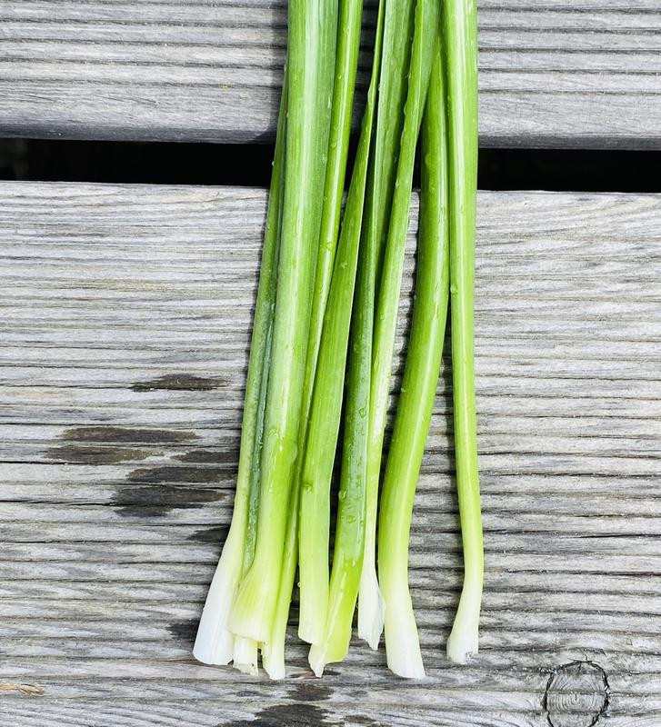 Sibiřská pažitka | Allium nutans