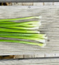 Sibiřská pažitka | Allium nutans