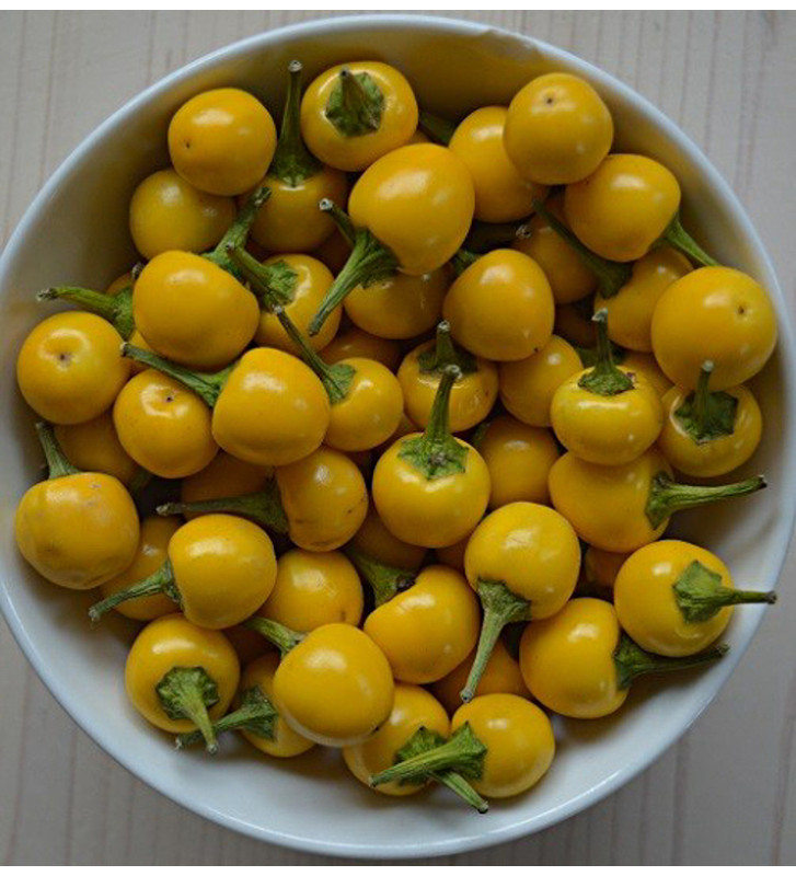 Gelbe Kirschen