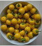 Gelbe Kirschen