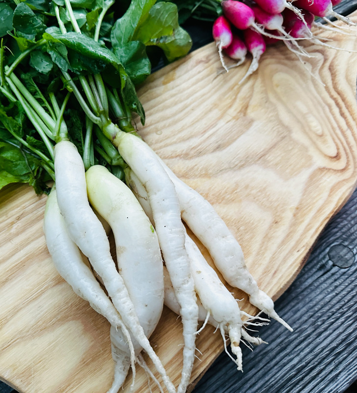 Rampouch | ředkvička | PERMASEMÍNKA.CZ