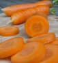 Nantese di Chioggia 2 | permasemínka