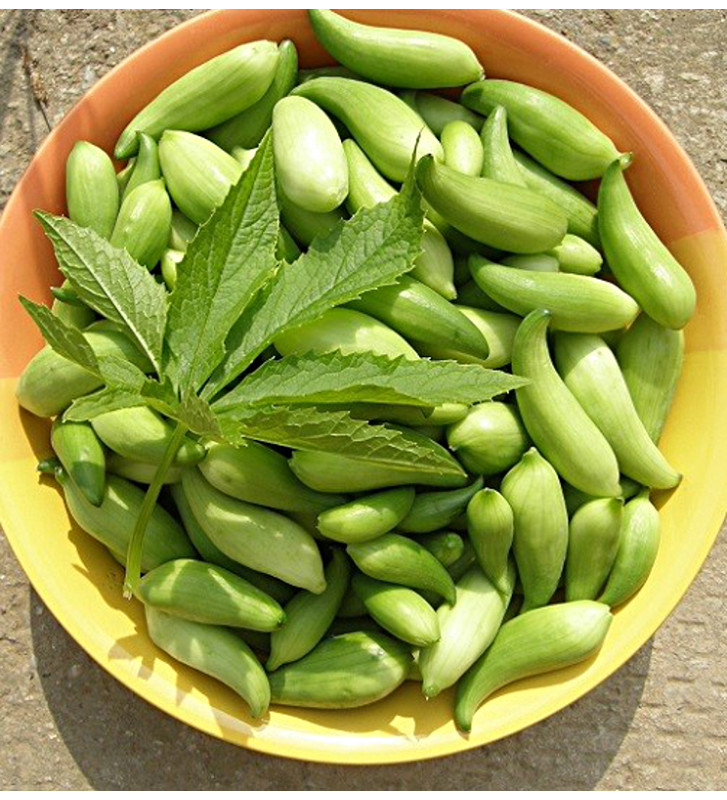 Ačokča