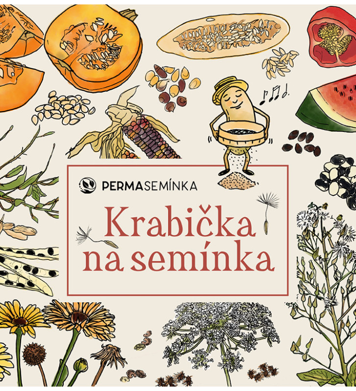 Prázdná dárková krabička na semínka | PERMASEMÍNKA