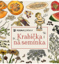 Prázdná dárková krabička na semínka | PERMASEMÍNKA