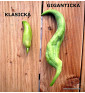 Gigantická ačokča