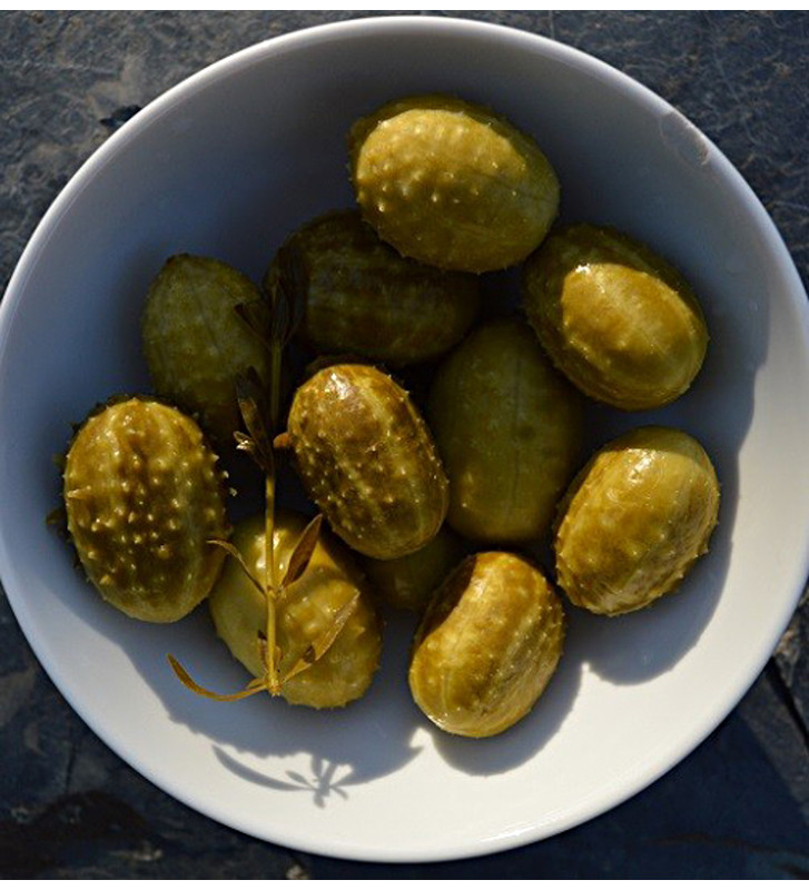 Okurka anguria