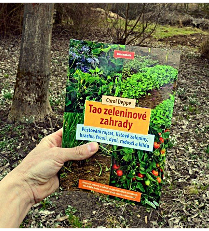 Tao zeleninové zahrady