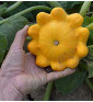 Golden Marbre