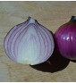 Robelja - červená cibule