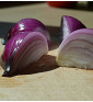 Robelja - červená cibule