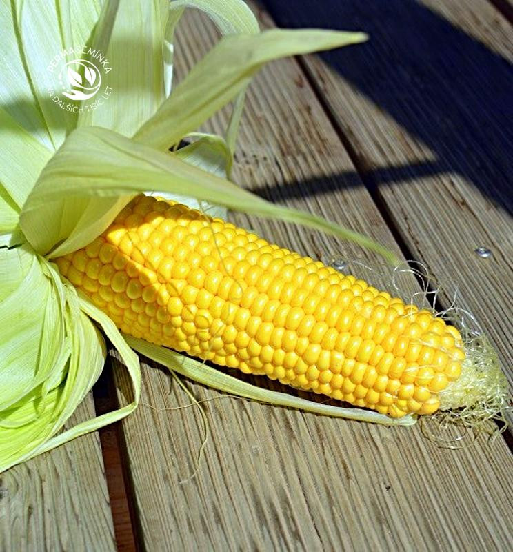 Tramunt - cukrová kukuřice, nehybridní