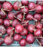 Robelja - červená cibule