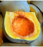 Waltham Butternut