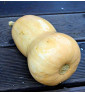 Waltham Butternut
