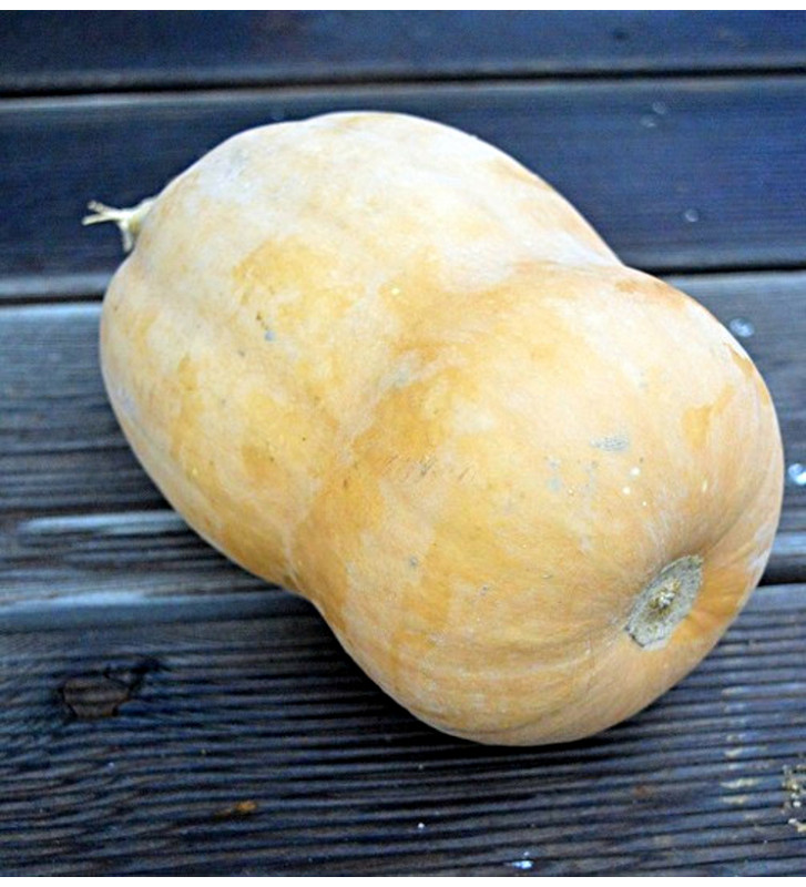 Waltham Butternut