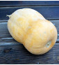 Waltham Butternut