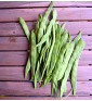 Helda - fazol tyčkový, na zelené lusky